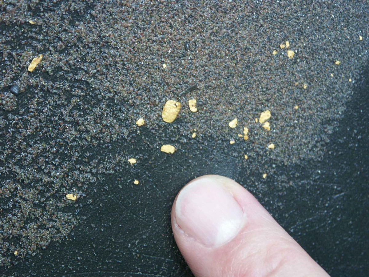 Waschgold in der Pfanne